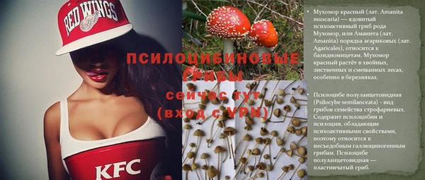прущий лед Алексин