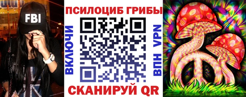 Псилоцибиновые грибы Psilocybine cubensis  купить  сайты  Кирс 